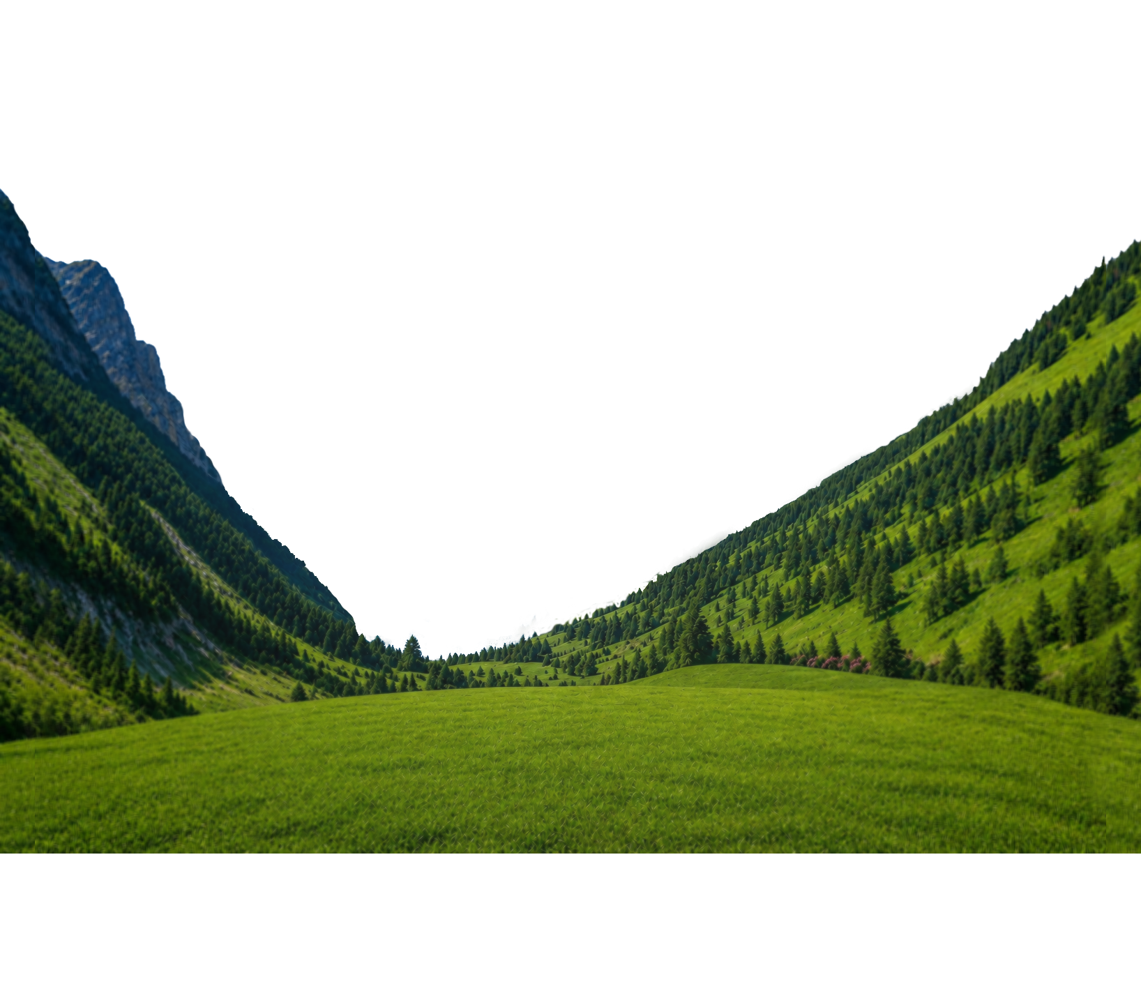 paysage